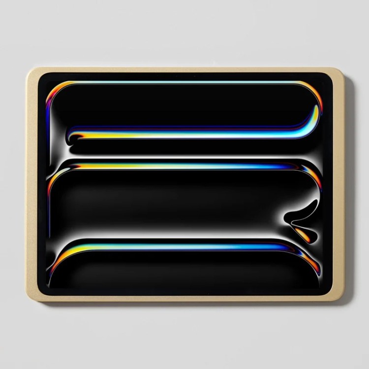Dame Wall 2.0 (iPad Pro 13")